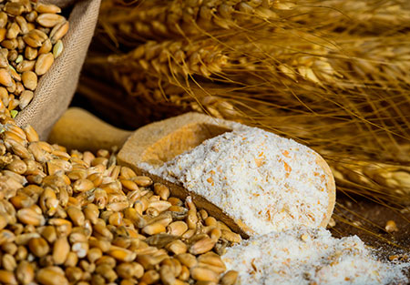 Grain Milling Technology